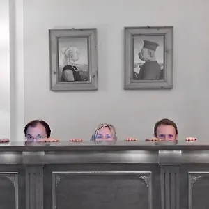 3* מלון David